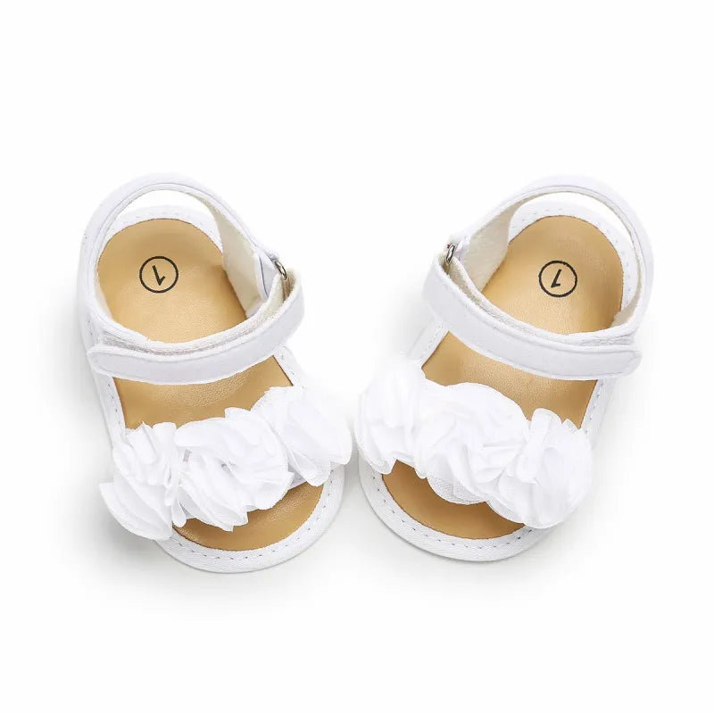 47463997374751|47463997407519|47463997440287|47463997473055|47463997505823|47463997538591