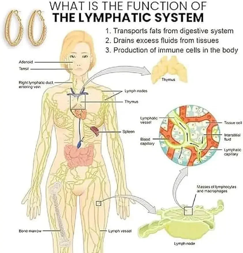 Lymphatic Drainage Slimming Hoop Earring Flysmus Halolux Lymphvity Magnetotherapy Germanium Earrings Acupuncture Therapy Earring