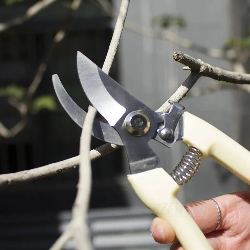 1Pc Professional Garden Pruner Orchard Garden Shears Hand Tools Bonsai for Scissors Gardening Chopper Pruning Shear Brush Cutter